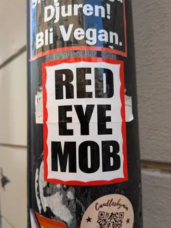Street sticker A rectangular sticker featuring the text 'RED EYE MOB' in bold black block letters, stacked vertically on a white background with a wavy red border.