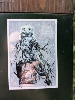 Street sticker A rectangular sticker depicting a snowy owl with yellow eyes perched on a branch. The owl's feathers blend into dark, root-like tendrils. Two stag beetles are positioned on the branch below. The background is light blue-grey with paint splatters and a white graffiti tag in the top right.