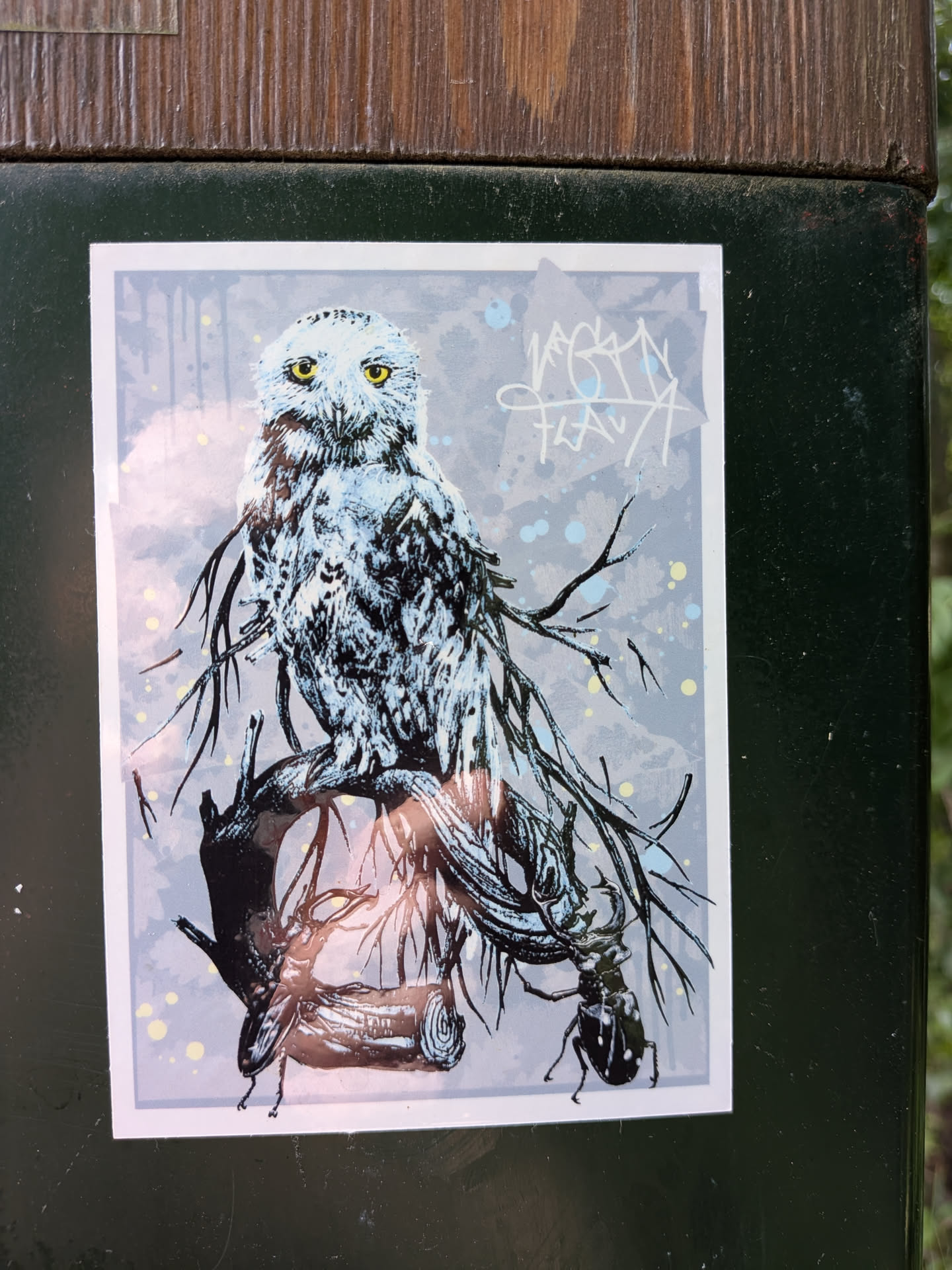 A rectangular sticker depicting a snowy owl with yellow eyes perched on a branch. The owl's feathers blend into dark, root-like tendrils. Two stag beetles are positioned on the branch below. The background is light blue-grey with paint splatters and a white graffiti tag in the top right.