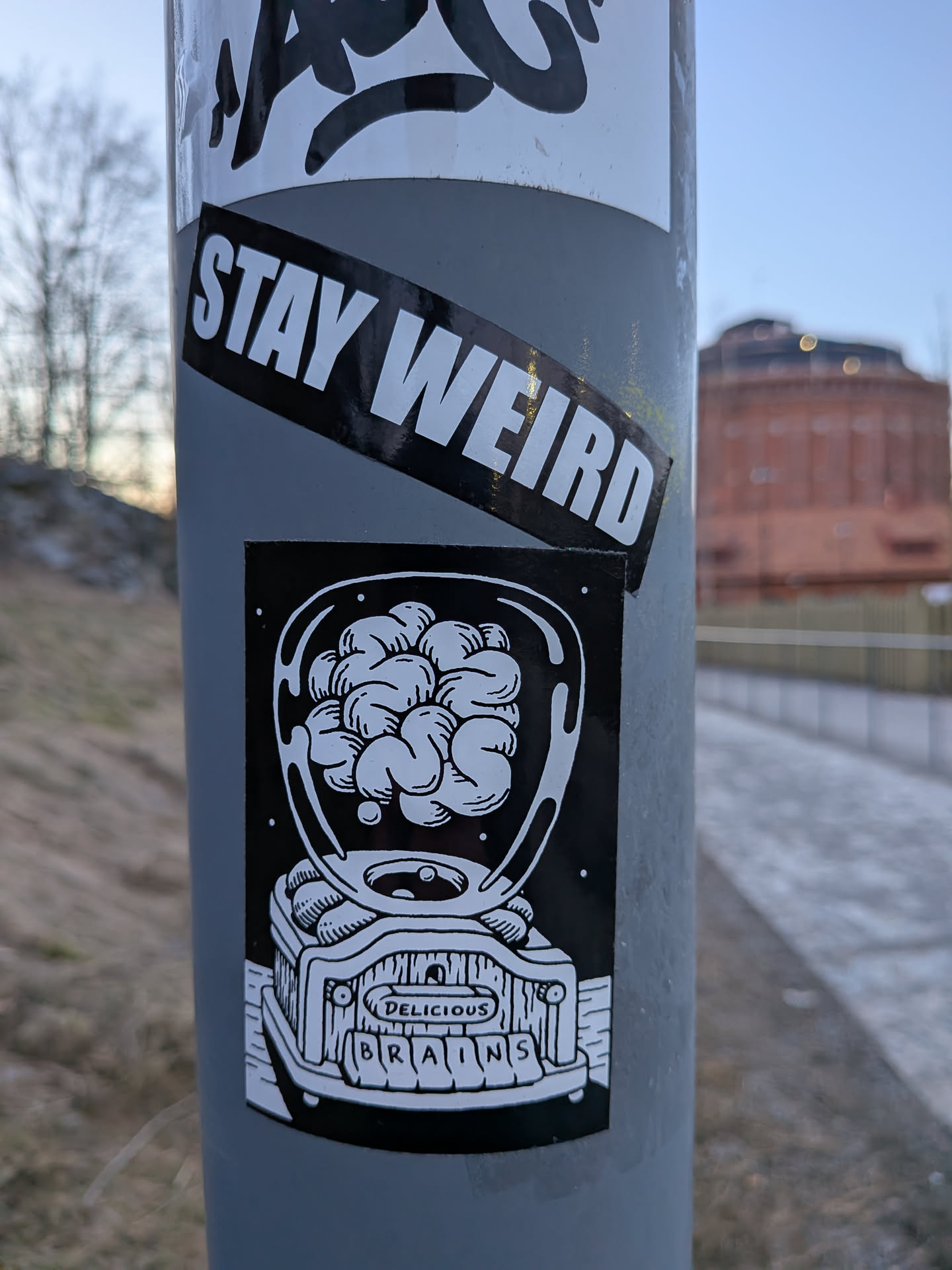 A black and white sticker featuring a stylized illustration of a vintage gumball machine. The clear dome of the machine is filled with numerous human brains instead of gumballs. The base of the machine has a coin slot and a dispenser. Below the dispenser, a small rectangular sign reads 'DELICIOUS', and below that, individual letters spell out 'BRAINS' on what appears to be a dispensing tray or buttons. The artwork uses thick outlines and solid black areas contrasted with white details, giving it a cartoonish yet slightly eerie aesthetic.
