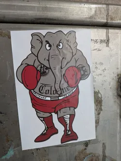 Street sticker A cartoon-style sticker depicting a grey elephant dressed as a boxer. The elephant wears red boxing gloves, red shorts, and red boots. Its grey shirt prominently displays 'Colonia' in a stylized font, with 'AMATEURE' written beneath it. On the left chest area, there is a circular logo containing '1. FC KÖLN'. The text '1. FC KÖLN' is also visible on the right leg of the red shorts. The elephant has a determined or slightly angry expression. The sticker is applied to a textured, metallic surface.