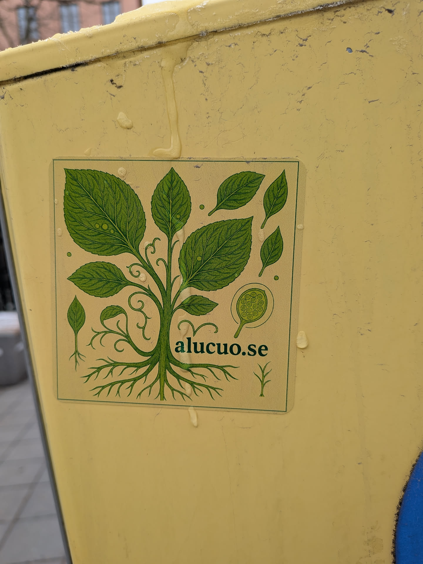 The sticker is square with slightly rounded corners, featuring a detailed botanical illustration on a light beige background. The central design is a stylized plant with a prominent, intricate root system at the bottom, a winding stem, and numerous green leaves of various sizes. The leaves are depicted with visible veins and some lighter green circular patterns. To the right, there is a distinct, oval-shaped seed pod or fruit-like structure, also green, filled with smaller circular elements. The overall color palette is dominated by shades of green against the light, textured background. The sticker appears to be slightly textured and has water droplets on its surface.