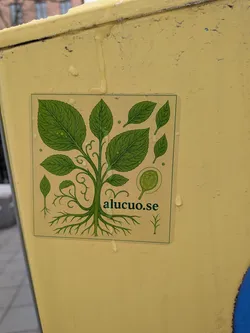 Street sticker The sticker is square with slightly rounded corners, featuring a detailed botanical illustration on a light beige background. The central design is a stylized plant with a prominent, intricate root system at the bottom, a winding stem, and numerous green leaves of various sizes. The leaves are depicted with visible veins and some lighter green circular patterns. To the right, there is a distinct, oval-shaped seed pod or fruit-like structure, also green, filled with smaller circular elements. The overall color palette is dominated by shades of green against the light, textured background. The sticker appears to be slightly textured and has water droplets on its surface.