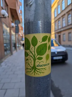 A rectangular sticker with rounded corners, featuring a light yellow-beige background. The central design is a stylized green plant with prominent, detailed leaves and an intricate root system extending downwards. The leaves vary in size, showing venation, and are outlined in a darker green with a lighter green fill. Swirling tendrils emanate from the stem. To the right, there's a small, circular, seed-like or fruit-like structure, also in green. Below the main plant illustration, the text 'alucuo.se' is printed in a dark green, sans-serif font. The overall aesthetic is natural, earthy, and illustrative.