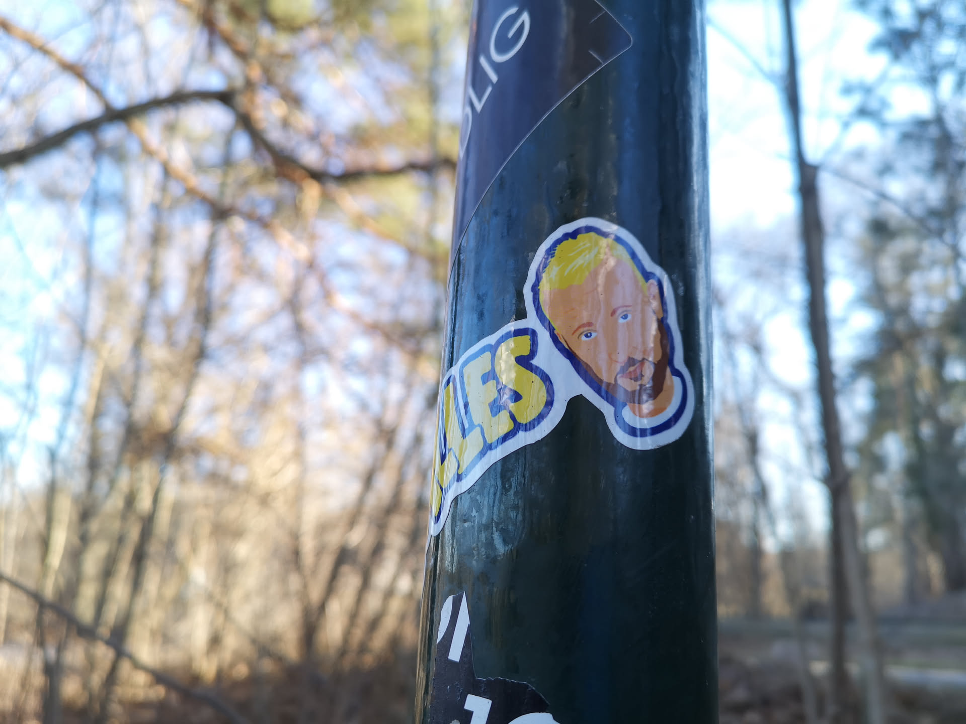 The sticker is a die-cut illustration of a man's head and upper shoulders. He has short, bright yellow (blonde) hair and a light brown beard and mustache. His skin tone is a light peach, and he has blue eyes with a slightly open mouth. The art style is simplified and cartoonish, with clear dark outlines. To the left of the man's face, there are yellow letters with a blue outline that spell out 'ALES'. The entire sticker is bordered by a white outline, followed by a thin blue line, and is affixed to a dark, possibly metallic, pole.