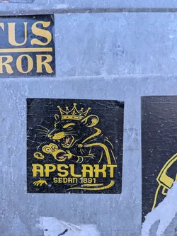 Street sticker The sticker features a striking design in black and yellow/gold. The central image is a stylized, aggressive-looking rat wearing a crown and a cape-like garment. The rat's mouth is open, revealing fangs, and its eyes are narrowed. It appears to be clutching a circular object with a swirling pattern in its front paws. Below the rat, in prominent yellow capital letters, is the word "APSLAKT". Beneath this, in smaller yellow text, is "SEDAN 1891". The overall aesthetic evokes a vintage crest or emblem, with a slightly distressed appearance due to wear.