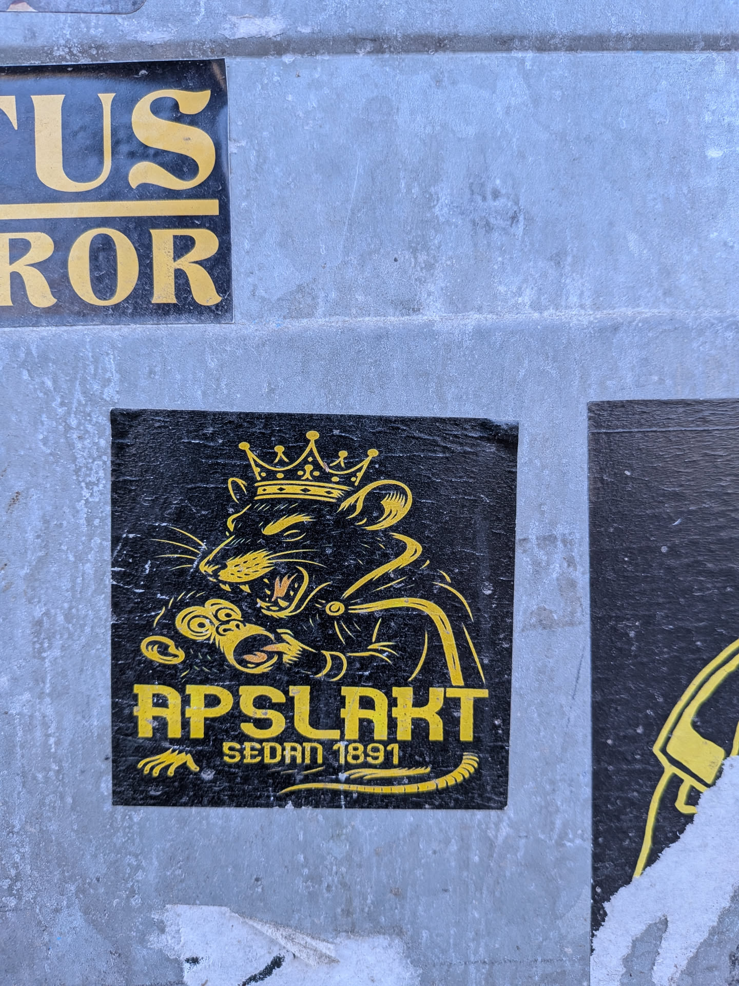 The sticker features a striking design in black and yellow/gold. The central image is a stylized, aggressive-looking rat wearing a crown and a cape-like garment. The rat's mouth is open, revealing fangs, and its eyes are narrowed. It appears to be clutching a circular object with a swirling pattern in its front paws. Below the rat, in prominent yellow capital letters, is the word "APSLAKT". Beneath this, in smaller yellow text, is "SEDAN 1891". The overall aesthetic evokes a vintage crest or emblem, with a slightly distressed appearance due to wear.