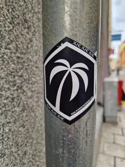 Street sticker A black and white hexagonal sticker with a palm tree graphic in the center. The text "XNC" is repeated around the perimeter, along with the website address www.xlngbrothers.com.