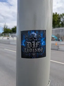 Square sticker with a dark gothic theme. Features a central skull with a 'D.I.F.' shield on its forehead, above stylized metallic text reading 'DIF LIDINGÖ'. The background is textured dark blue and black.