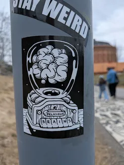 Street sticker A rectangular, black and white sticker featuring a stylized gumball machine. The clear dome of the machine is filled with numerous cartoonish human brains. Below the dome, the dispenser mechanism is visible, with a small brain appearing to be dispensed. The base of the machine has a textured, wooden-like appearance. An arrow points to a slot labeled 'DELICIOUS', and below that, individual block letters spell out 'BRAINS'. The artwork is rendered in a clean, illustrative line-art style against a solid black background.