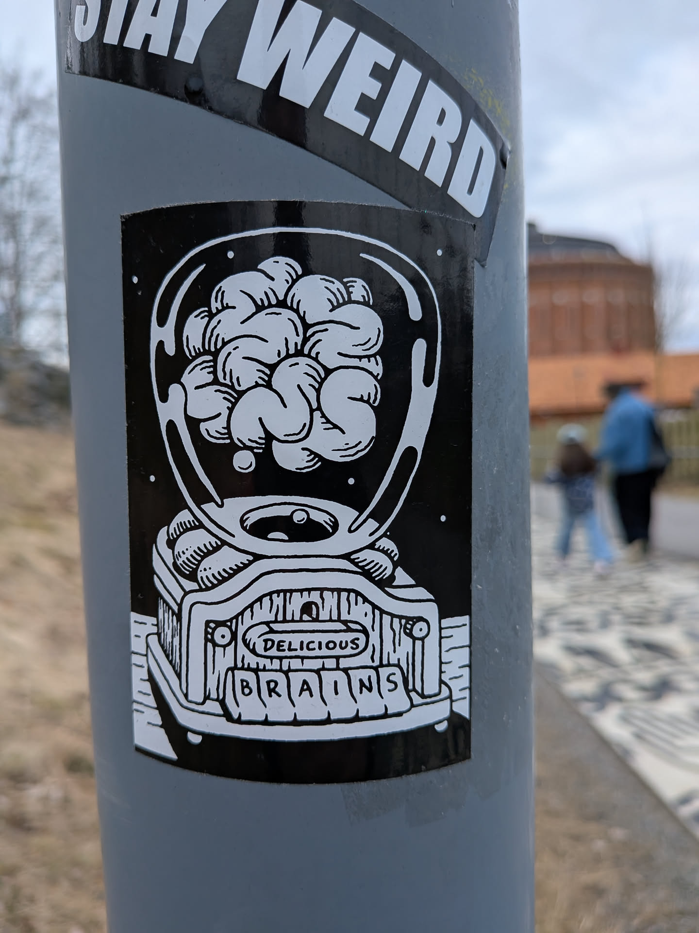 A rectangular, black and white sticker featuring a stylized gumball machine. The clear dome of the machine is filled with numerous cartoonish human brains. Below the dome, the dispenser mechanism is visible, with a small brain appearing to be dispensed. The base of the machine has a textured, wooden-like appearance. An arrow points to a slot labeled 'DELICIOUS', and below that, individual block letters spell out 'BRAINS'. The artwork is rendered in a clean, illustrative line-art style against a solid black background.