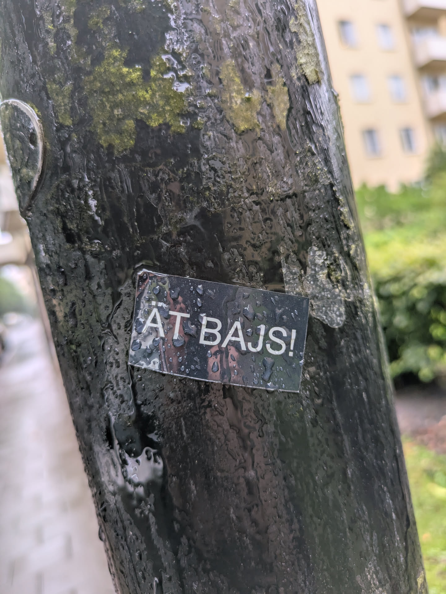 Street sticker The sticker is a small, rectangular piece with a dark, likely black, background and white, sans-serif capital letters. It reads "AT BAJS!". The surface of the sticker is visibly wet, covered with numerous water droplets that reflect ambient light. It is affixed to a dark, textured pole or post, which also appears wet and has patches of green moss or algae. The sticker's edges are clearly defined, and its surface shows minor imperfections from being exposed to the elements.