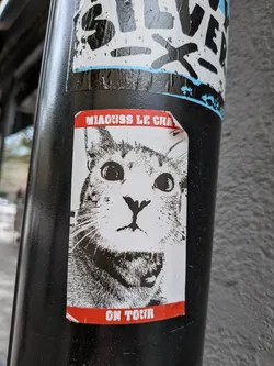 Street sticker The sticker features a black and white illustration of a cat's face with wide, expressive eyes. The cat has detailed fur texture rendered with dark ink strokes. The illustration is contained within a white rectangular background. Below the cat's face, a red band runs across the bottom of the sticker, containing white text. The sticker appears to be slightly creased and adhered to a cylindrical, dark-colored surface, possibly a pole.