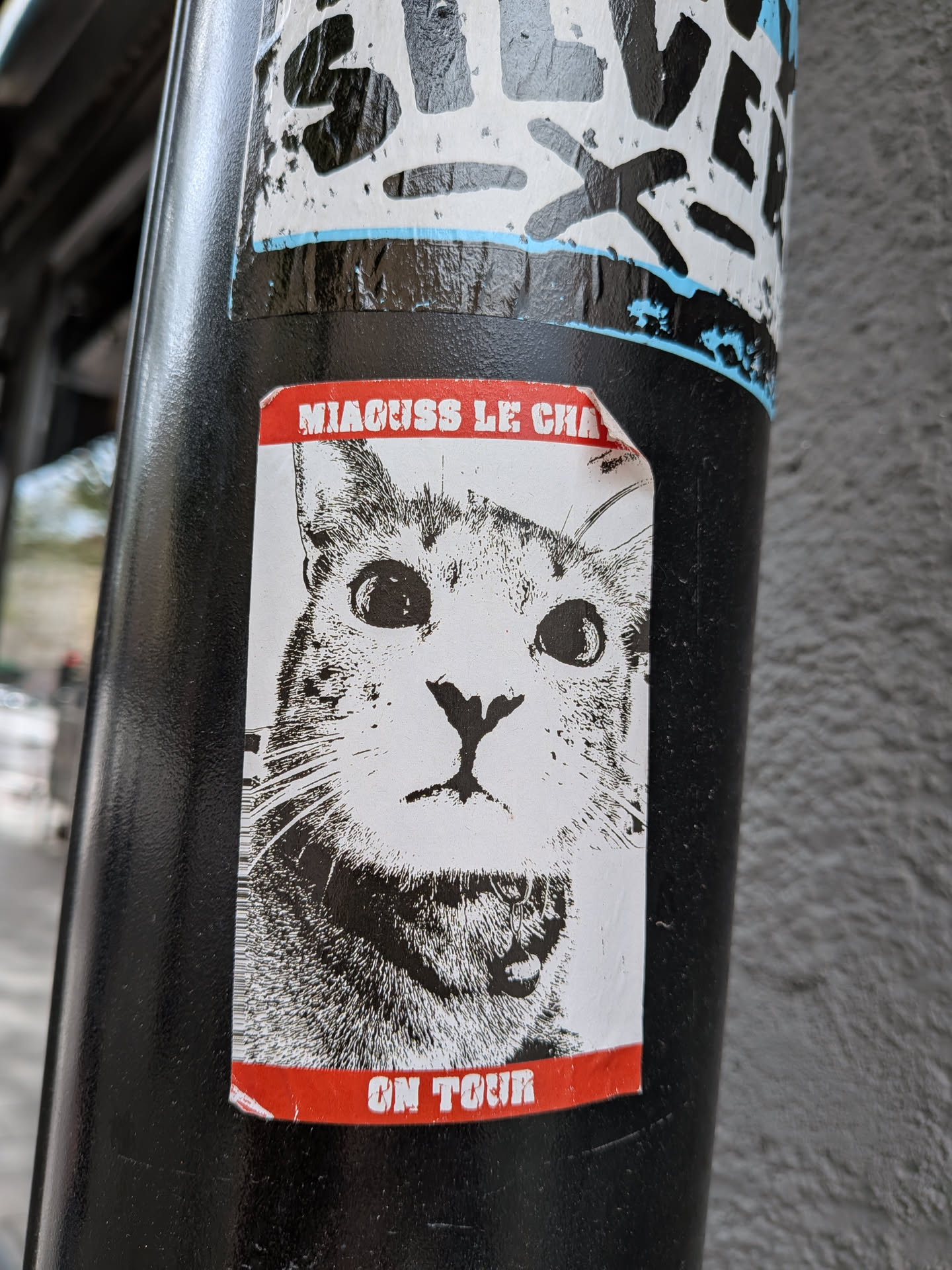 The sticker features a black and white illustration of a cat's face with wide, expressive eyes. The cat has detailed fur texture rendered with dark ink strokes. The illustration is contained within a white rectangular background. Below the cat's face, a red band runs across the bottom of the sticker, containing white text. The sticker appears to be slightly creased and adhered to a cylindrical, dark-colored surface, possibly a pole.