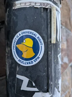 Street sticker A circular sticker featuring a stylized profile of a mole's head, facing left, wearing a yellow hard hat with a headlamp. The mole is depicted in a warm yellow-orange hue, set against a dark blue circular background. A white outer ring frames the central image, containing text in dark blue. The top arc of the white ring reads 'PRIVACY IS A UNIVERSAL RIGHT', and the bottom arc reads 'MULLVAD VPN'. The sticker appears slightly worn and is affixed to a dark, textured pole.