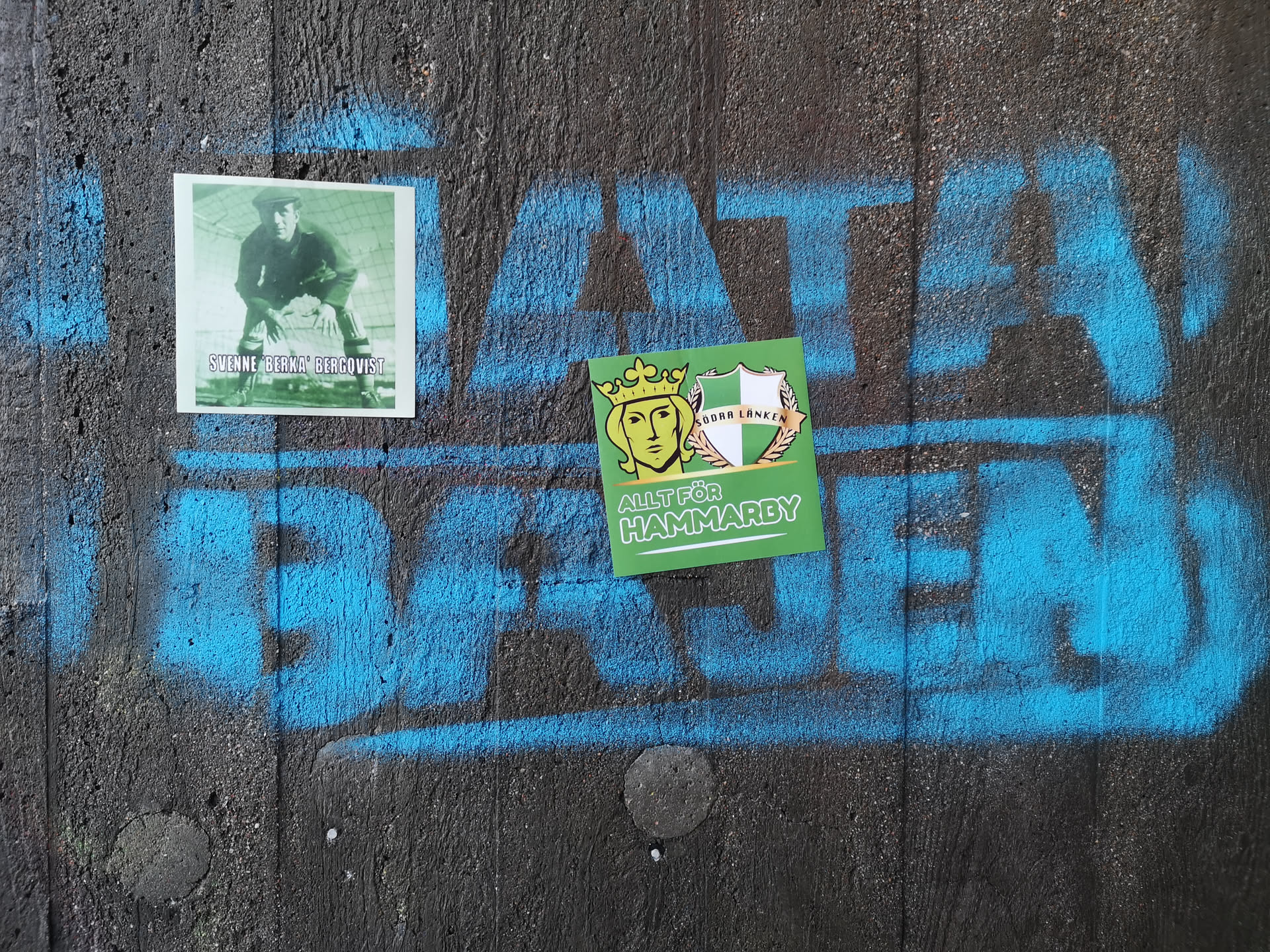 The sticker is predominantly green, featuring a stylized yellow/gold crowned head in profile on the left side, facing right. To the right of the head is a shield with vertical green and white stripes, partially encircled by a yellow/gold laurel wreath. Above the shield, on a yellow banner, is the text 'SÖDRA LÄNKEN' in black letters. Below the main imagery, at the bottom of the sticker, the text 'ALLT FÖR HAMMARBY' is displayed in white letters against the green background. The sticker has a slightly irregular, roughly square shape with soft edges.