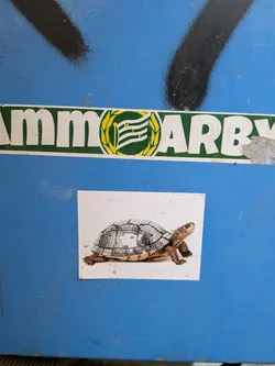 Street sticker The sticker features a photograph of a turtle in a side profile, facing towards the right, set against a plain white background. The most striking element is its shell, which is entirely covered in small, square, reflective mirror tiles, giving it the appearance of a disco ball. The turtle's head, legs, and tail retain their natural brown and tan coloration, showing visible scales and texture. The sticker itself is rectangular with slightly worn and curled edges, indicating it's a physical print adhered to a surface.