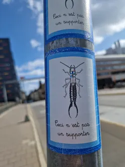 Street sticker A sticker featuring an illustration of an insect with the text 'Ceci n'est pas un supporter' (This is not a supporter) written in French both at the top and bottom. The insect is depicted in detail, and the sticker has a simple, clean design with a light blue border.