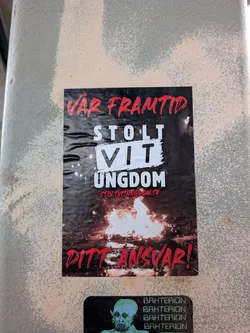 Street sticker A rectangular sticker with a dark, smoky background showing a bonfire burning at the bottom. The text is in Swedish, arranged vertically. The top line reads 'VÅR FRAMTID' in a red, distressed, brush-stroke font. Below it, 'STOLT' is in white block letters, 'VIT' is in black letters inside a white painted rectangle, and 'UNGDOM' is in white block letters. Underneath 'UNGDOM' is the website 'STOLTVITUNGDOM.SE' in small red letters. The bottom line reads 'DITT ANSVAR!' in the same red distressed font.