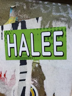 A rectangular green sticker with the name HALEe written in bold, white, uppercase letters. The background has a subtle polka dot pattern. The sticker is affixed to a wall with other layers of peeling posters underneath.