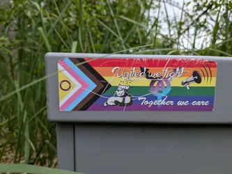 Street sticker A rectangular sticker featuring the Progress Pride flag background. It includes white cursive text reading 'United we fight Together we care'. Illustrated elements show two hugging cats, an anarcho-feminist symbol, a bat, and a megaphone. The sticker is weathered with visible cracks.