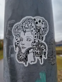 Street sticker Black and white illustration sticker of a woman's face with octopus tentacles forming her hair. The style is reminiscent of a line drawing with dripping ink effects. The sticker is affixed to a gray pole outdoors.