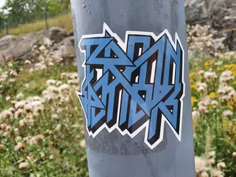 A sticker featuring a stylized, geometric design in shades of blue and black. The design is abstract and does not appear to represent any recognizable objects or symbols. The sticker is affixed to a gray metal pole, with vegetation visible in the background.