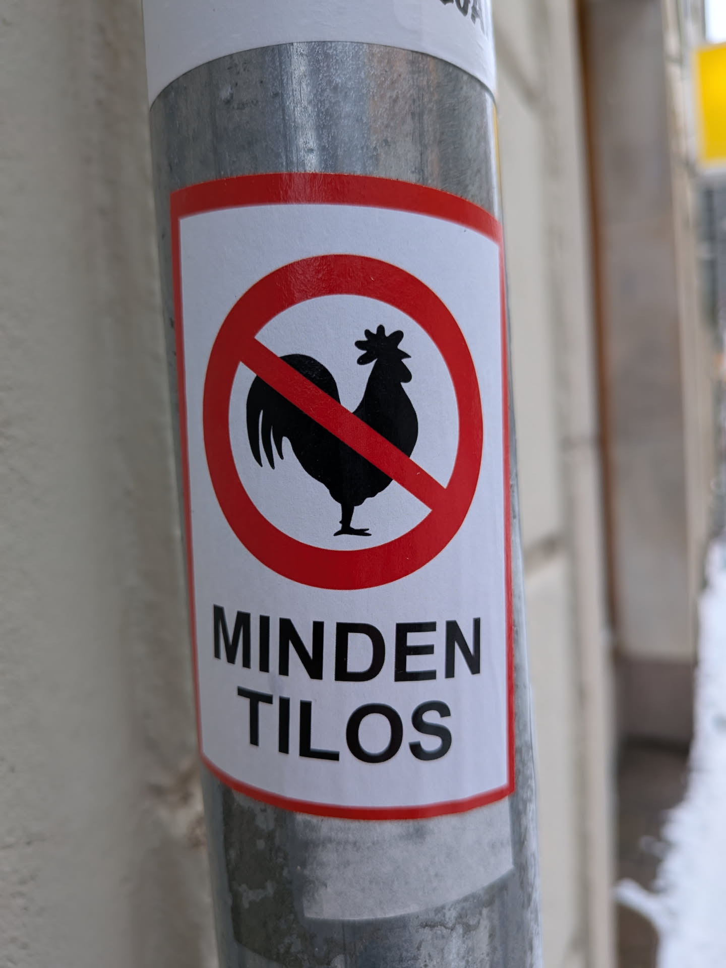 Street sticker The sticker features a white rectangular background with a prominent red circular prohibition symbol. Inside the red circle, a black silhouette of a rooster is depicted, with a red diagonal line crossing through it from top-left to bottom-right. Below the symbol, in bold black uppercase letters, the text 'MINDEN TILOS' is printed. The sticker is applied to a grey, cylindrical metal pole.