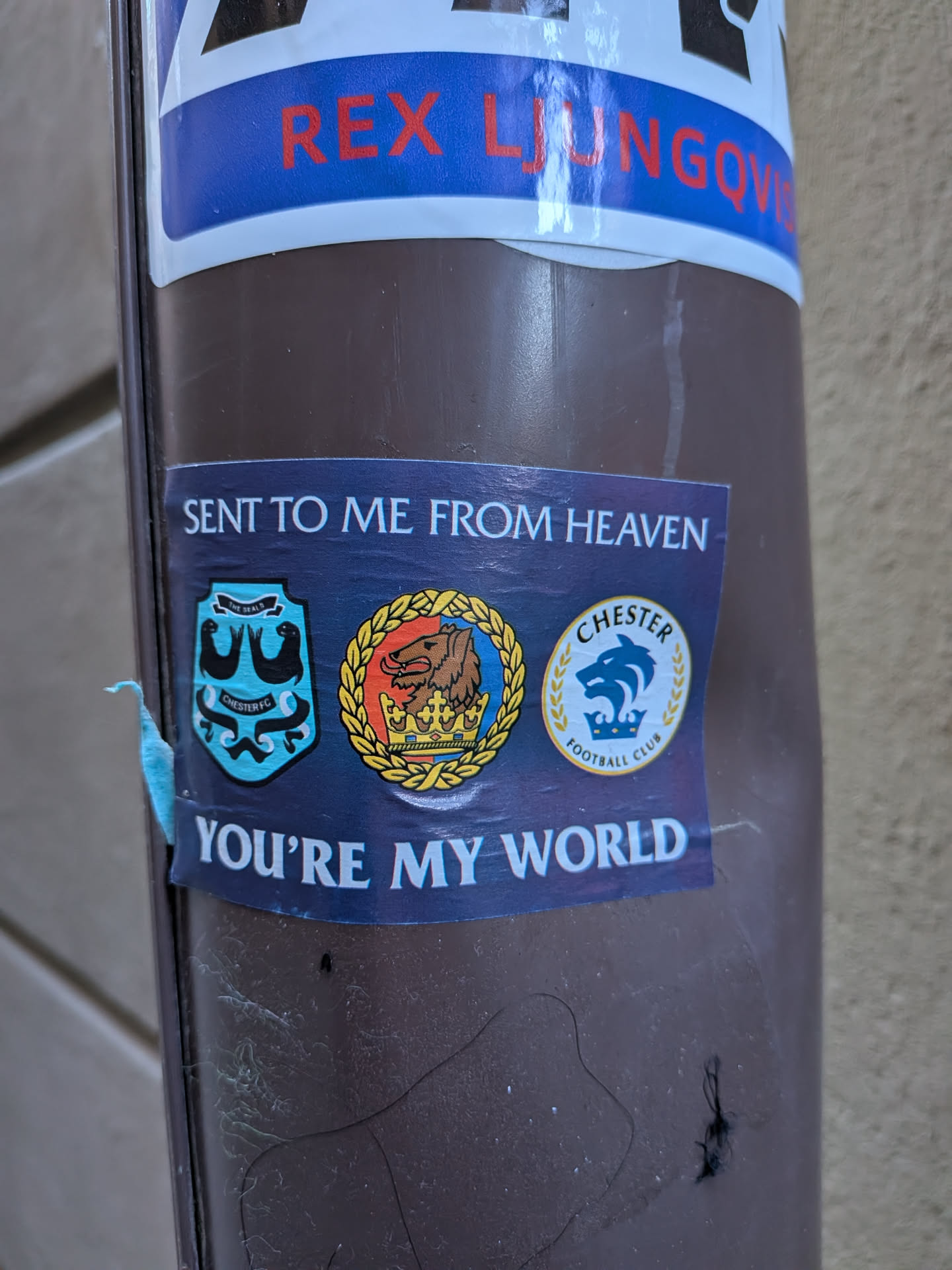 Street sticker The sticker is rectangular with a dark blue background. It features three distinct crests or logos arranged horizontally in the center. On the left is a light blue shield with two black seals, a black banner at the top with 'THE SEALS' and another at the bottom with 'CHESTER FC'. The middle crest is circular with a golden wreath, depicting a brown crowned lion-like creature on a background split into red and blue/yellow sections. The rightmost crest is a white circle with a golden wreath, showing a blue stylized dolphin or wolf head wearing a crown, with 'CHESTER' above and 'FOOTBALL CLUB' below. Above the crests, in white capital letters, is the phrase 'SENT TO ME FROM HEAVEN'. Below the crests, also in white capital letters, is 'YOU'RE MY WORLD'.