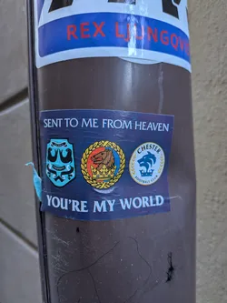 Street sticker The sticker is rectangular with a dark blue background. It features three distinct crests or logos arranged horizontally in the center. On the left is a light blue shield with two black seals, a black banner at the top with 'THE SEALS' and another at the bottom with 'CHESTER FC'. The middle crest is circular with a golden wreath, depicting a brown crowned lion-like creature on a background split into red and blue/yellow sections. The rightmost crest is a white circle with a golden wreath, showing a blue stylized dolphin or wolf head wearing a crown, with 'CHESTER' above and 'FOOTBALL CLUB' below. Above the crests, in white capital letters, is the phrase 'SENT TO ME FROM HEAVEN'. Below the crests, also in white capital letters, is 'YOU'RE MY WORLD'.