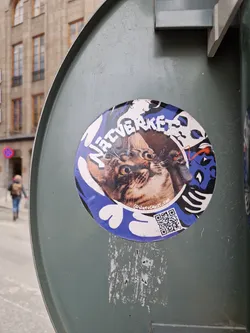 Street sticker A round sticker featuring a cat's face and the words "Native Rocket." The design is vibrant, with blue, white, and other colors. A QR code is also present at the bottom. The sticker is affixed to a weathered gray metal surface.