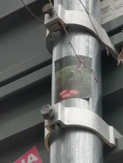 Street sticker The sticker is a rectangular print adhered to a galvanized metal pole. It features a dark, somewhat blurry image of a person, possibly wearing light pink shorts and a top, standing in a green, grassy landscape. The person appears to be in motion, perhaps swinging an object. Near the bottom left, three words are prominently displayed in a glowing red, neon-like font: "OUTO", "VALTA", and "KUNTA". The overall aesthetic is grainy and slightly mysterious, resembling a lo-fi photograph or a meme.