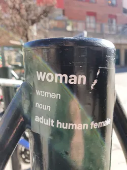 A sticker on a dark-colored metal pole. The sticker has the word woman in large letters at the top, and underneath it, the words women, noun, and adult human female, each on a separate line. The words are in white against a transparent background.