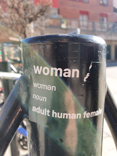 Street sticker Stockholm woman Wuman noun adult human female