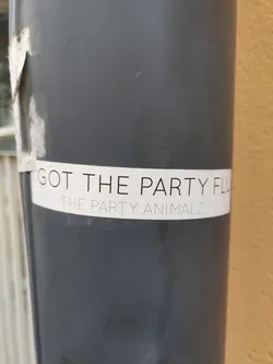 A white sticker on a dark gray pipe. The sticker has the text "GOT THE PARTY FLU" on the top and "THE PARTY ANIMALZ" on the bottom.