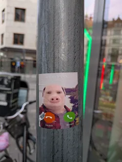 Street sticker The sticker depicts a humorous representation of a phone call interface. At the top, it reads 'John Pork is calling...'. The central image is a close-up of a pig's face, with realistic features and a slightly smiling expression, wearing a red and black plaid shirt. Below the pig's face are two circular buttons: a red 'Decline' button with a phone receiver icon and a green 'Accept' button with a phone icon. The background behind the pig's head appears to be a scenic landscape with trees and water.