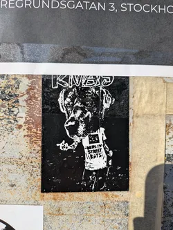 Street sticker A high-contrast black and white sticker featuring an anthropomorphic dog character. The dog has a large, detailed head, possibly a bulldog or similar breed, rendered in a rough, almost stencil-like style. It stands on two legs, wearing a white t-shirt with the text 'BERLIN STREET RATS' in a distressed font. The character's left hand (viewer's right) is raised, making a gesture that appears to be a middle finger. Above the dog's head, in white outline against the black background, is the word 'KNAP'. The sticker's background is solid black, making the white elements pop. The sticker shows signs of wear and tear, consistent with street art.