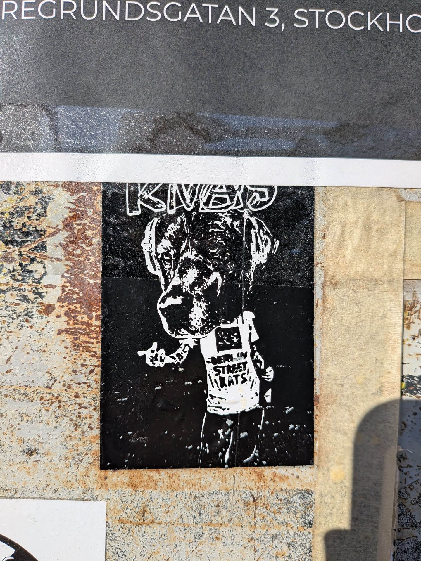 A high-contrast black and white sticker featuring an anthropomorphic dog character. The dog has a large, detailed head, possibly a bulldog or similar breed, rendered in a rough, almost stencil-like style. It stands on two legs, wearing a white t-shirt with the text 'BERLIN STREET RATS' in a distressed font. The character's left hand (viewer's right) is raised, making a gesture that appears to be a middle finger. Above the dog's head, in white outline against the black background, is the word 'KNAP'. The sticker's background is solid black, making the white elements pop. The sticker shows signs of wear and tear, consistent with street art.