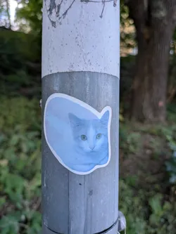 Street sticker The sticker is predominantly white with a light blue tint applied to the image of a cat. The cat's fur appears soft and fluffy, with a white face and chest, and subtle blue shading across its body. It has striking green eyes that are looking directly at the viewer. The sticker has a white border and is oval-shaped, with a slightly irregular outline.