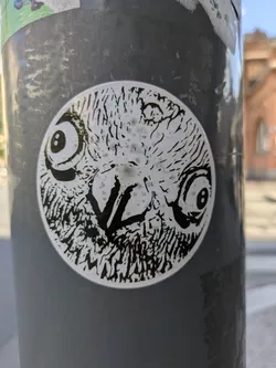 Street sticker A circular sticker featuring a black and white illustration of an owl's face. The owl has large, round eyes with pupils, and its facial features are rendered with intricate, feathery linework. The background of the sticker is white, with some minor scuff marks or imperfections. The sticker is affixed to a dark grey cylindrical surface.