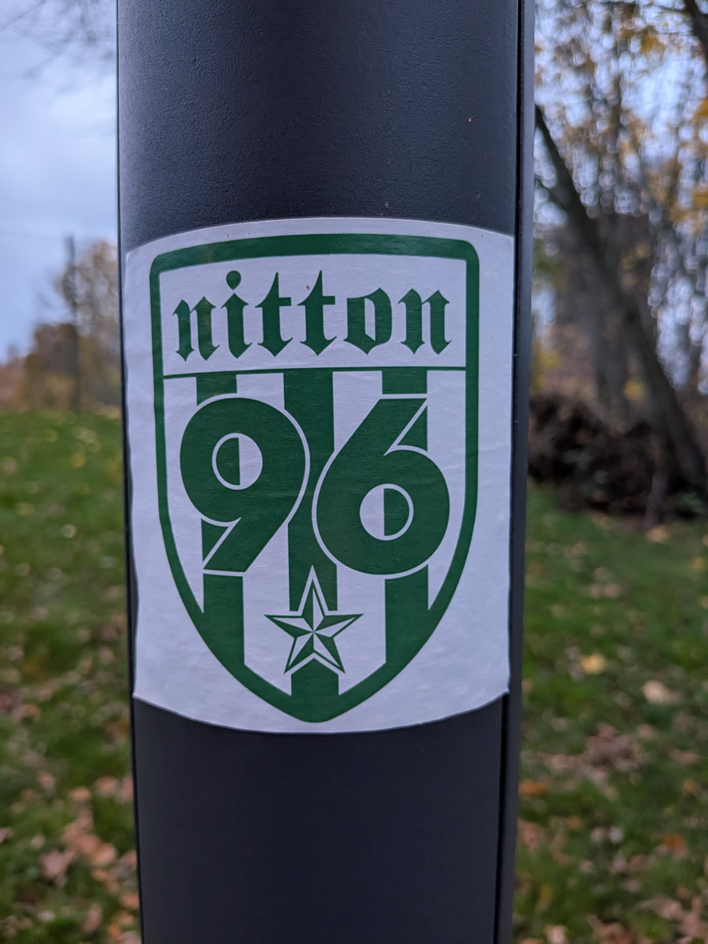 The sticker is centrally located and features a shield emblem with a white background and green accents. At the top, the word 'nitton' is written in a gothic-style font. Below this, the number '96' is prominently displayed in large, bold green numerals. The '9' is on the left and the '6' is on the right, with a vertical green stripe separating them. At the bottom of the shield is a green five-pointed star. The entire emblem is outlined in green.