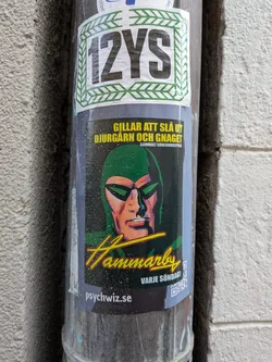 Street sticker The central sticker features a stylized depiction of a masked hero, strongly resembling The Phantom, with a green cowl and dark, angular sunglasses. His face is rendered with warm, almost orange and yellow skin tones, contrasting with the dark, speckled background. Above the character, yellow text reads "GILLAR ATT SLÅ UT DJURGÅRN OCH GNAGET" with smaller white text "GAMMALT SÖDERORDSPRÅK". Below the character, the word "Hammarby" is prominently displayed in a vibrant yellow script font with a green outline, followed by "VARJE SÖNDAG!" in white. At the bottom left, a website "psychwiz.se" is visible, and a small QR code is on the bottom right. The sticker itself is dark, possibly black or dark blue, with a slightly speckled texture, showing signs of wear. A separate, smaller sticker is affixed above it, displaying "12YS" in black letters on a white background, framed by a green chevron pattern.