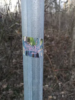 Street sticker The sticker is a rectangular piece of urban art affixed to a textured, galvanized metal pole. Its background is a chaotic yet colorful abstract design, featuring a blend of green, dark blue, purple, black, and white paint splatters and brushstrokes, giving it a dynamic, layered appearance. Dominating the foreground is a highly stylized, flowing tag or signature rendered in bright pink/magenta. The lettering is intricate and interconnected, appearing to spell 'Pouty!' or a similar word, with an energetic, hand-drawn aesthetic that stands out against the busy backdrop.