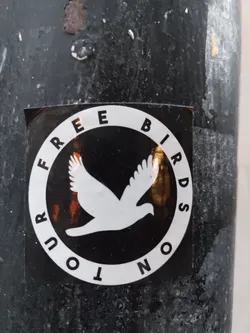 Street sticker A round black and white sticker with a bird in flight in the center. The text "Free Birds On Tour" is written around the bird.
