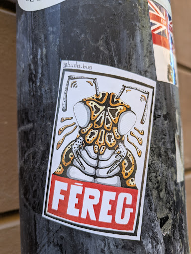 This sticker features an illustration of a beetle-like creature. The body is decorated with an orange and brown pattern, and the sticker includes the word "FÉREG" in a red banner at the bottom.