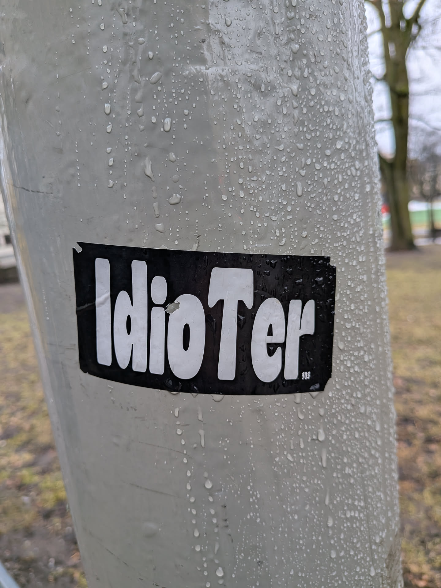 A rectangular black sticker with bold white text spelling 'IdioTer' is affixed to a light grey, wet pole. The sticker has a slightly worn appearance, with minor tears on the left edge and some water droplets adhering to its surface. Below the 'Ter' part of the word, a small '303' is visible in white text. The background of the image shows a blurred outdoor setting with trees and ground.
