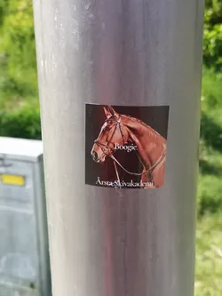 Street sticker The sticker features a detailed, realistic portrait of a horse's head and neck, facing slightly to the left. The horse has a rich, reddish-brown coat and is wearing a dark bridle with metallic accents. Its eye is visible and appears alert. The background is a solid, dark brown or black, creating a strong contrast with the horse. White text is present on the sticker: 'Boogie.' is positioned above the horse's neck, and 'Årsta Skivakademi' is located below the horse's neck. The sticker has a somewhat glossy finish, reflecting light, and is adhered to a grey metal pole.