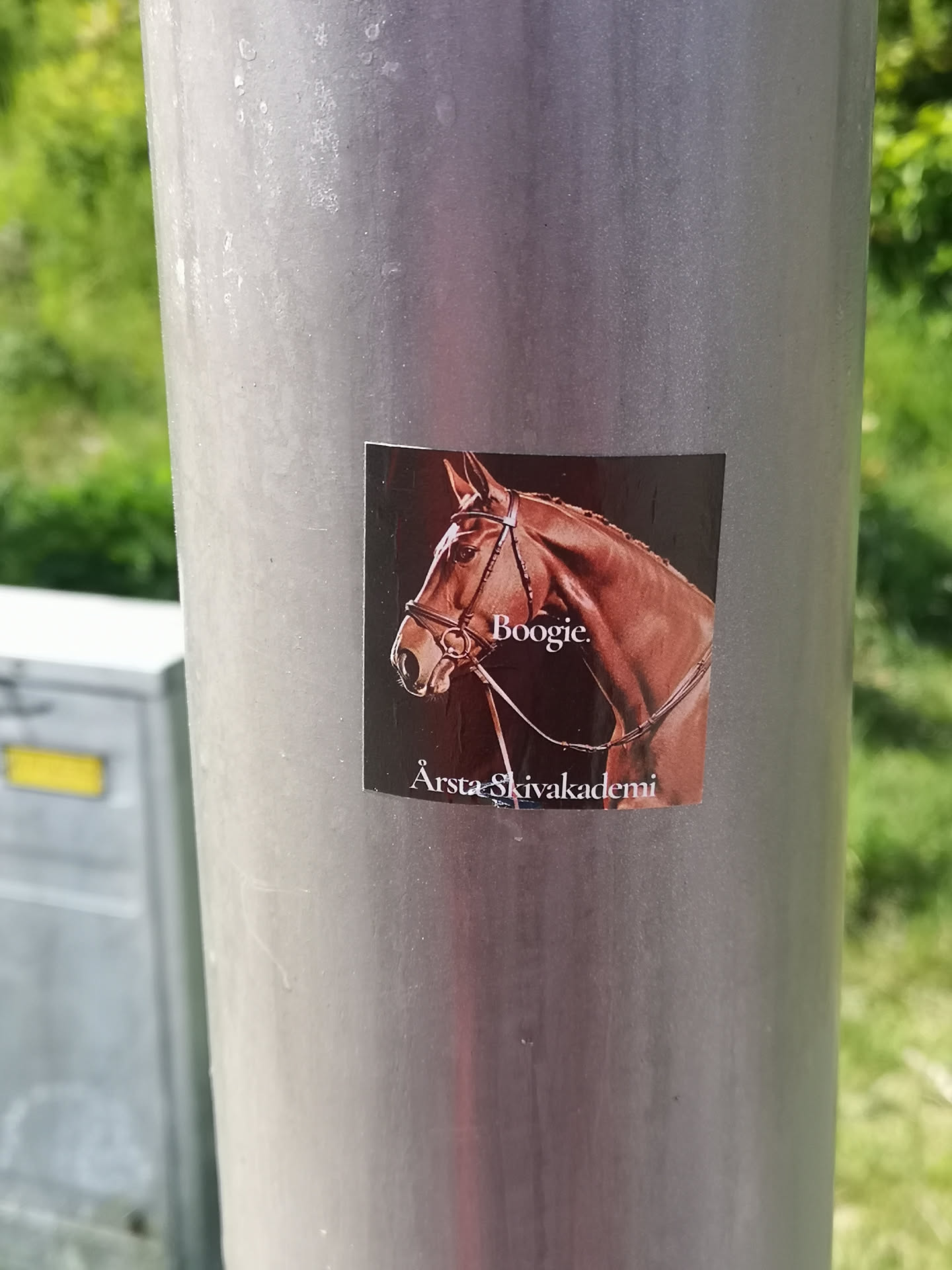 The sticker features a detailed, realistic portrait of a horse's head and neck, facing slightly to the left. The horse has a rich, reddish-brown coat and is wearing a dark bridle with metallic accents. Its eye is visible and appears alert. The background is a solid, dark brown or black, creating a strong contrast with the horse. White text is present on the sticker: 'Boogie.' is positioned above the horse's neck, and 'Årsta Skivakademi' is located below the horse's neck. The sticker has a somewhat glossy finish, reflecting light, and is adhered to a grey metal pole.