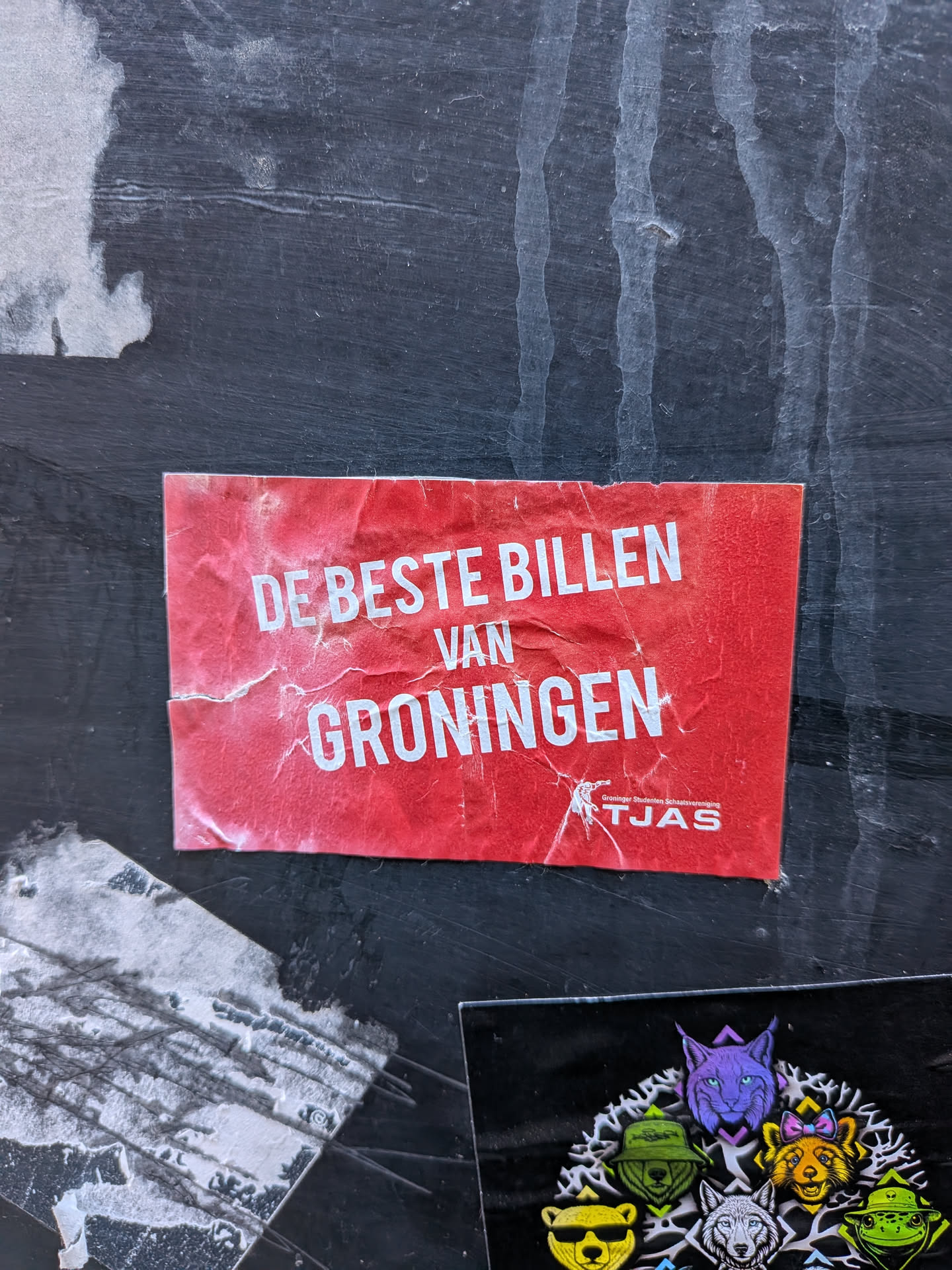 Street sticker A rectangular red sticker featuring prominent white sans-serif text. The main phrase, "DE BESTE BILLEN VAN GRONINGEN" (The Best Butts of Groningen), is displayed in large, bold capital letters. Below this, in smaller white text, is "Groninger Studenten Schaatsvereniging TJAS" (Groningen Student Skating Association TJAS), accompanied by a small white graphic of what appears to be a stylized figure in motion, possibly skating. The sticker shows significant wear, with numerous wrinkles, creases, and minor tears, particularly along the edges and across its surface, indicating it has been exposed to elements or handled roughly. The red background is faded and discolored in places due to wear.