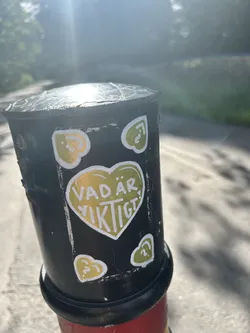 Street sticker A black rectangular sticker on a post featuring a large central olive-green heart with the white text 'VAD ÄR VIKTIGT?'. Four smaller hearts containing question marks are located in the corners.